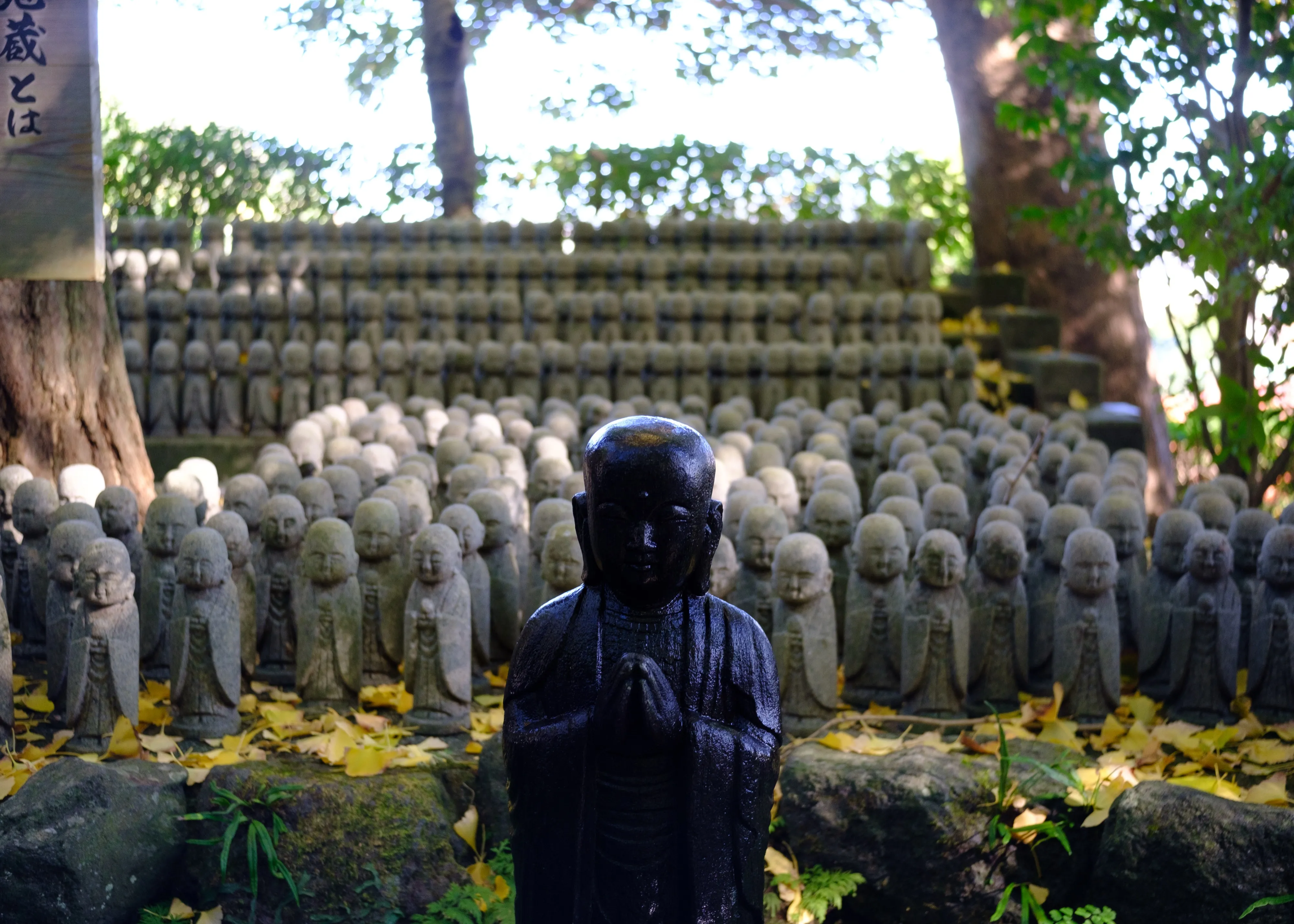 Dark stone Jizo statue with hands pressed together in front of rows of small grey stone figures scattered with yellow ginkgo leaves