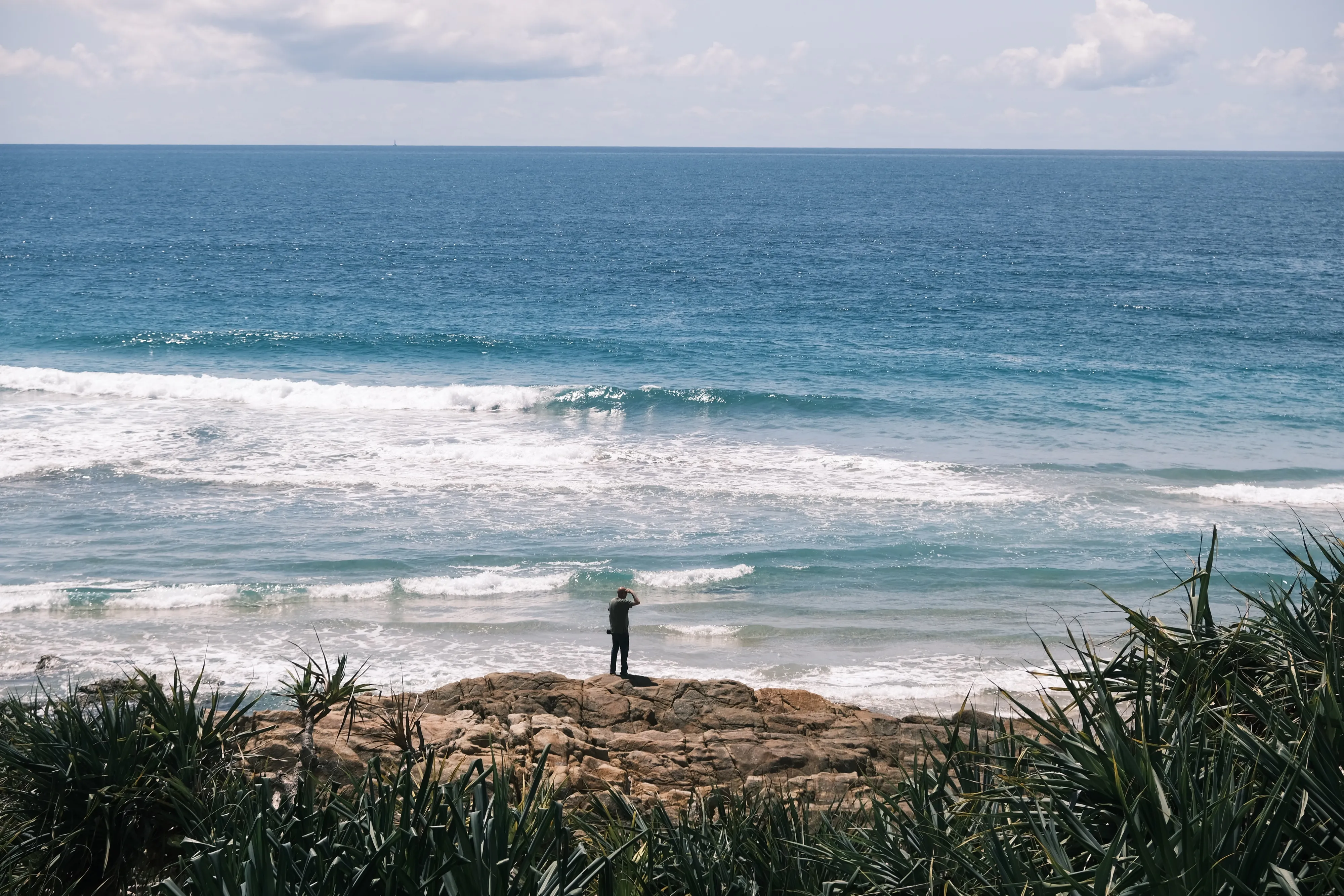 Person standing on a rocky shelf looking out at blue ocean and rolling waves, with spiky pandanus leaves in the foreground
