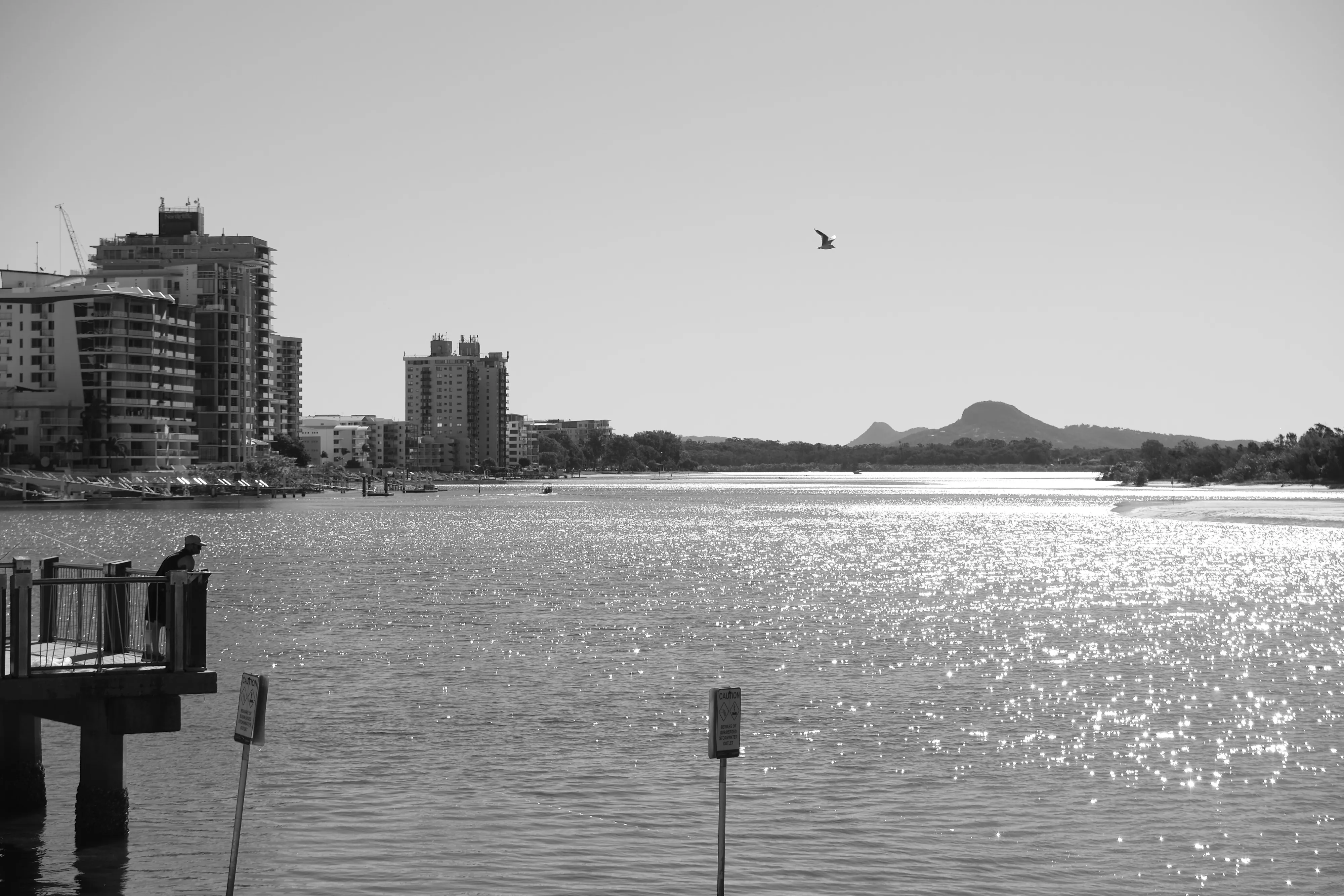 Black and white view over sparkling water toward apartment towers and a distant mountain, with a gull flying overhead and a person on a jetty