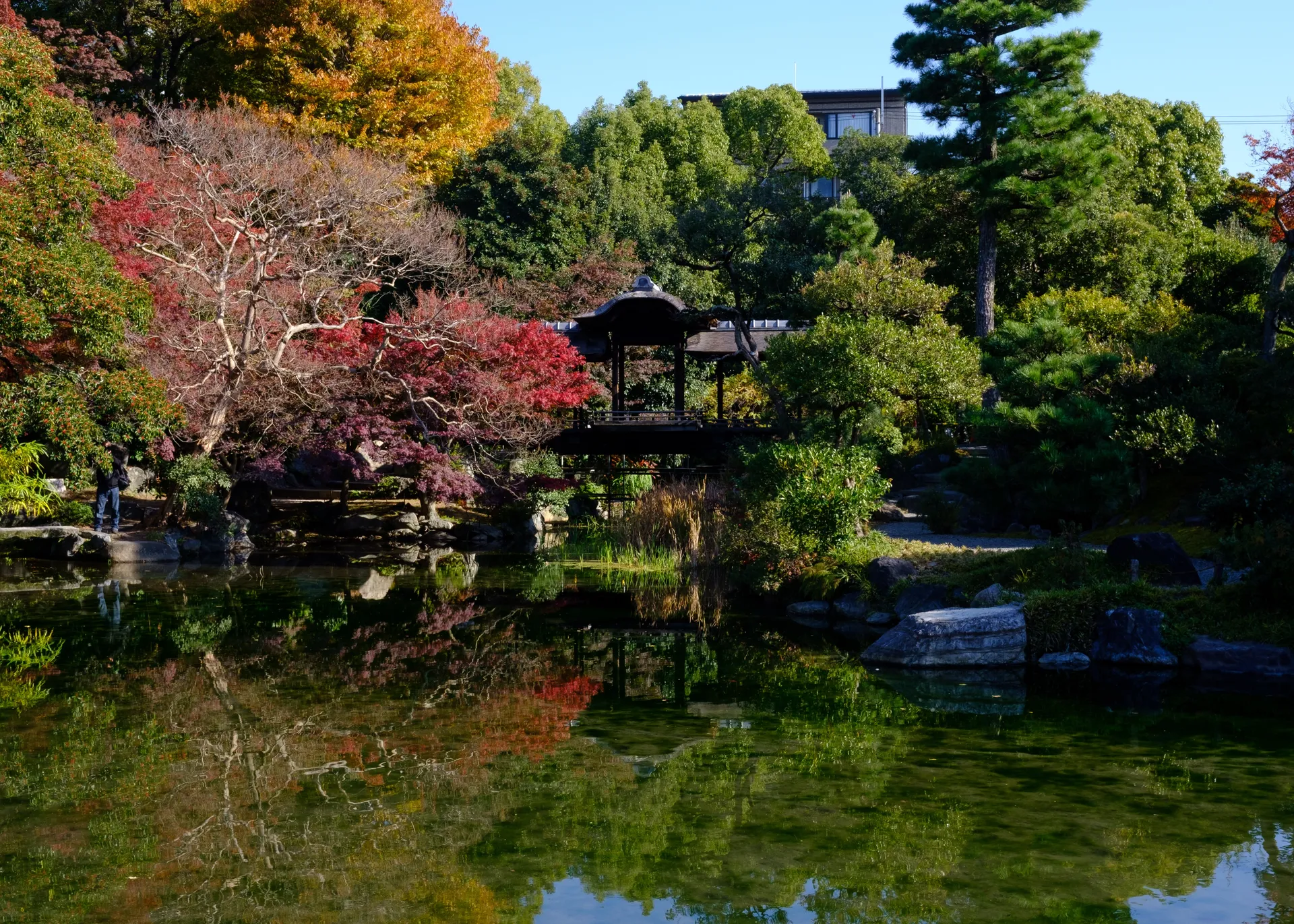 Japanese garden pond reflecting red maples, pines and a small wooden pavilion in bright autumn light