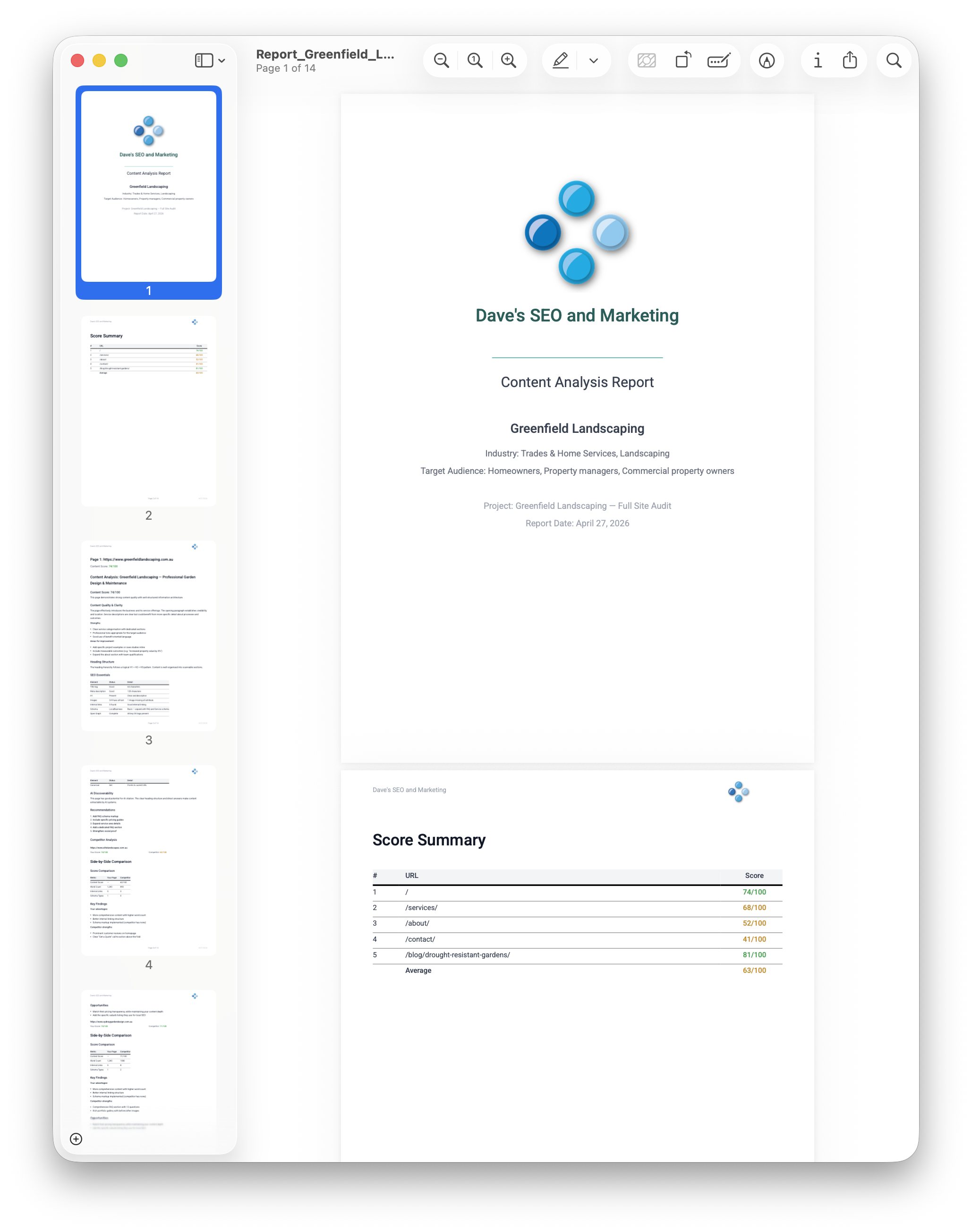Branded PDF report with cover page and score summary
